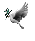 animated Dove with olive branch